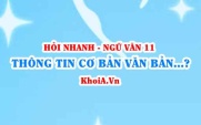 Thông tin cơ bản của văn bản là gì? Cách trình bày ý tưởng và thông tin, dữ liệu? Ngữ Văn lớp 11